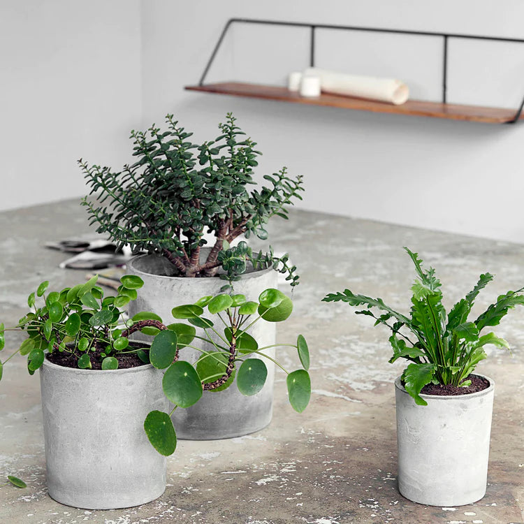 House Doctor Ave Planter