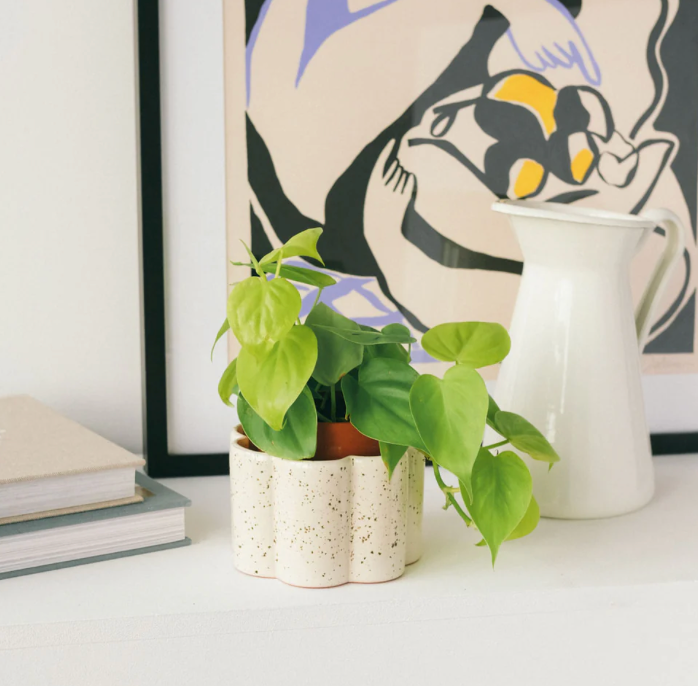 pepin - paula self watering pot