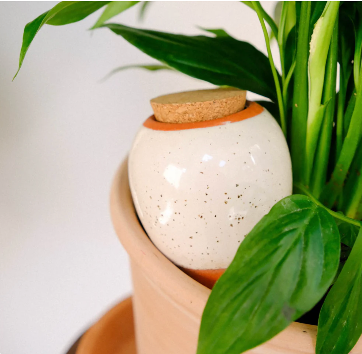 pepin - olla white speckled