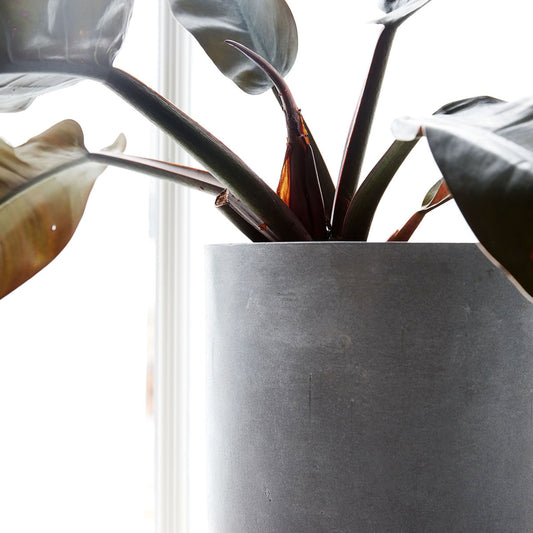 House Doctor Planter Gard LY0101