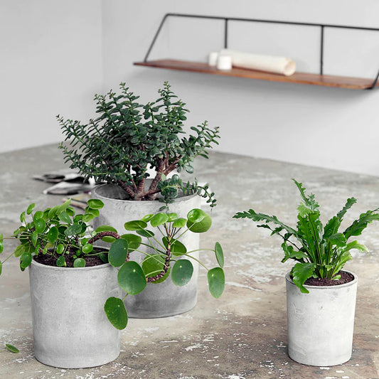 House Doctor Ave Planter