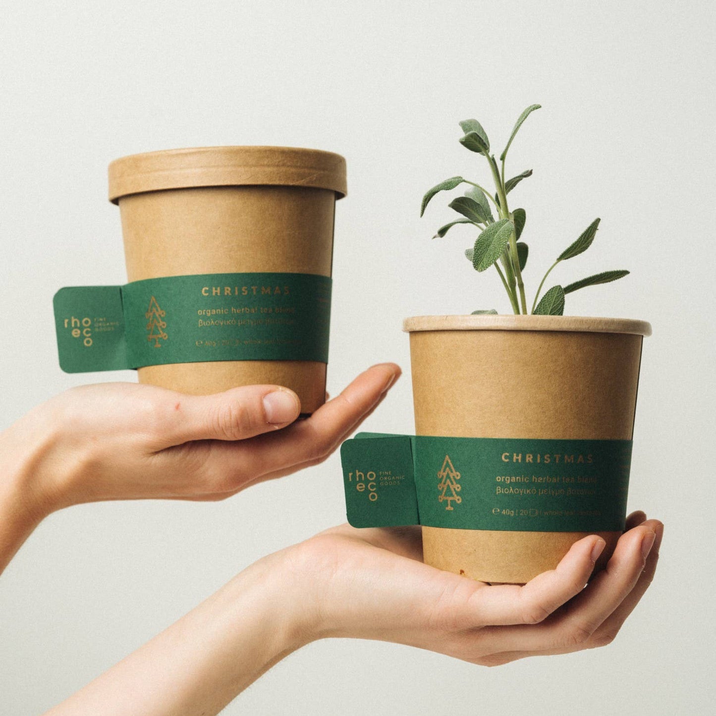 Christmas Herbal Tea Blend - Drink it, Plant it