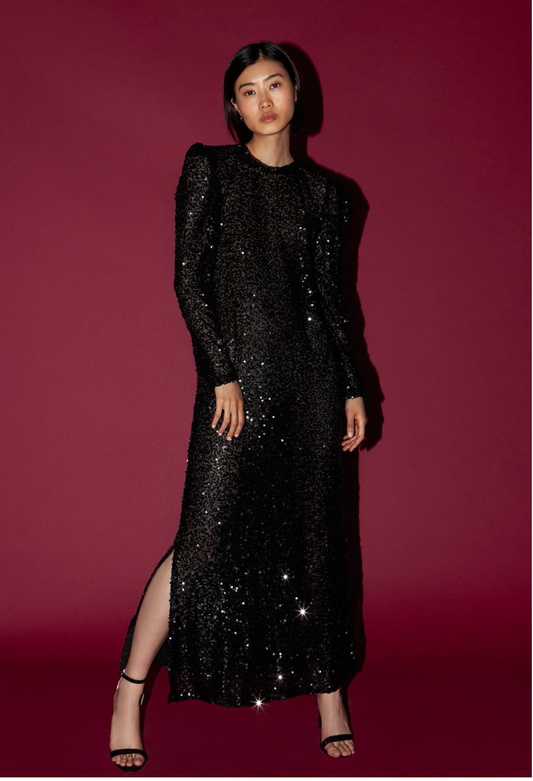 Niso maxi sequin dress