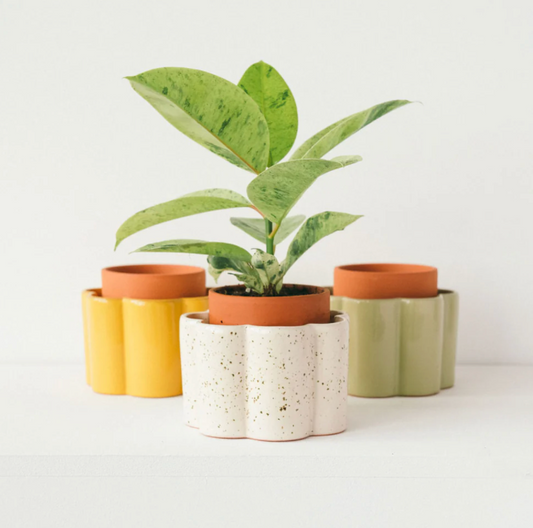 pepin - paula self watering pot